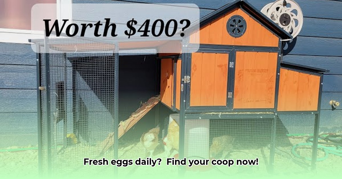 chicken-coop-at-tractor-supply